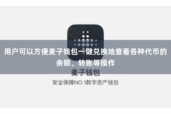 用户可以方便麦子钱包一键兑换地查看各种代币的余额、转账等操作