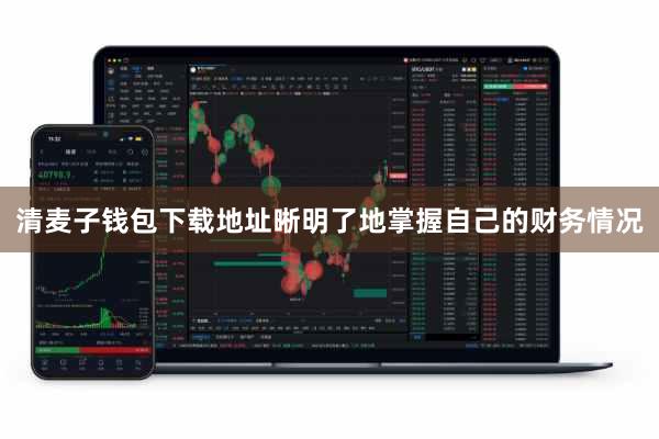 清麦子钱包下载地址晰明了地掌握自己的财务情况