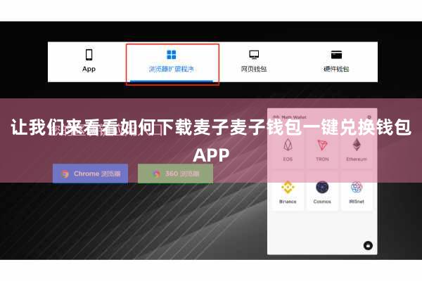 让我们来看看如何下载麦子麦子钱包一键兑换钱包APP