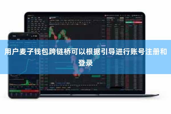 用户麦子钱包跨链桥可以根据引导进行账号注册和登录