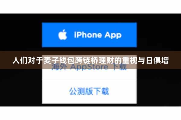人们对于麦子钱包跨链桥理财的重视与日俱增
