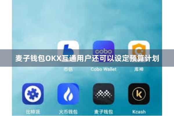 麦子钱包OKX互通用户还可以设定预算计划
