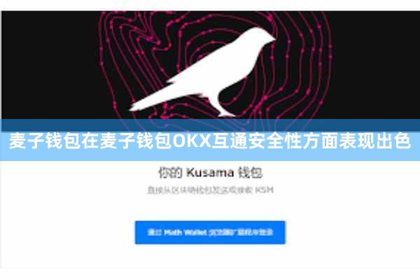 麦子钱包在麦子钱包OKX互通安全性方面表现出色