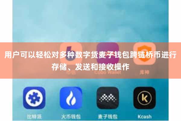 用户可以轻松对多种数字货麦子钱包跨链桥币进行存储、发送和接收操作