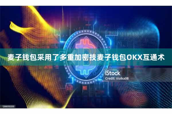 麦子钱包采用了多重加密技麦子钱包OKX互通术