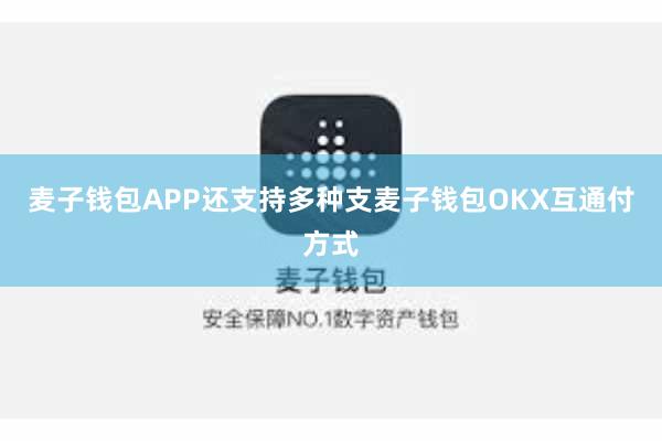 麦子钱包APP还支持多种支麦子钱包OKX互通付方式