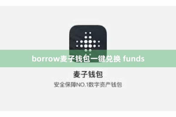 borrow麦子钱包一键兑换 funds