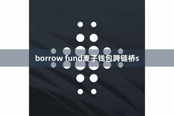 borrow fund麦子钱包跨链桥s