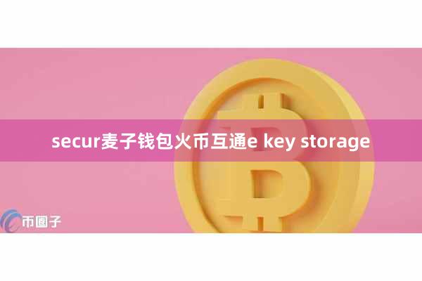 secur麦子钱包火币互通e key storage