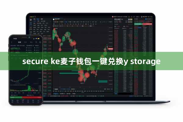 secure ke麦子钱包一键兑换y storage