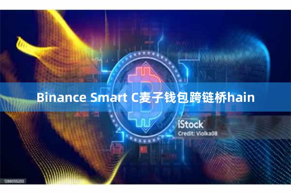 Binance Smart C麦子钱包跨链桥hain