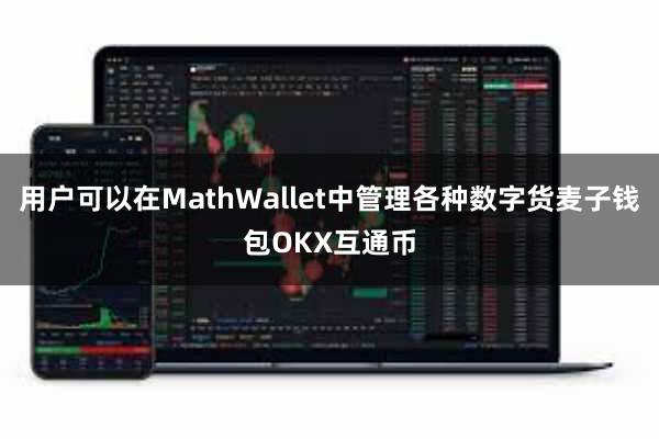 用户可以在MathWallet中管理各种数字货麦子钱包OKX互通币