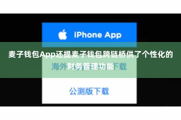 麦子钱包App还提麦子钱包跨链桥供了个性化的财务管理功能