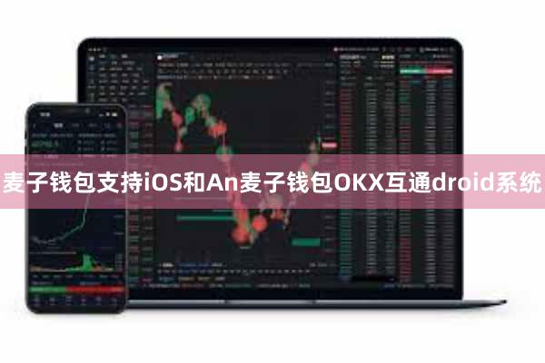麦子钱包支持iOS和An麦子钱包OKX互通droid系统